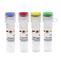 Seamless Cloning Kit (無(wú)縫克隆試劑盒) 